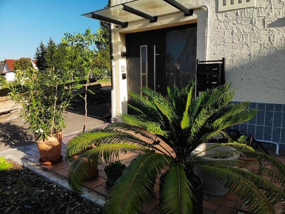 Modernes Studio Mit Separater Kueche Reutlingen Exterior photo